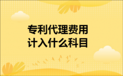 专利代理费用计入什么科目